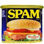 Spam Classic Luncheon Meat 340g