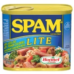 Spam Lite Luncheon Meat 340g